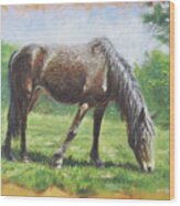 Brown Standing Horse Eating Wood Print