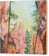 Bryce Canyon #2 Wood Print