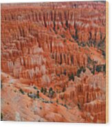 Bryce Canyon Megapixels Wood Print