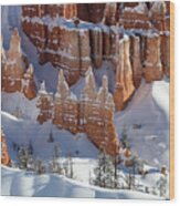 Bryce Canyon National Park Wood Print