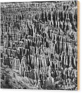 Bryce Canyon National Park Lll Wood Print
