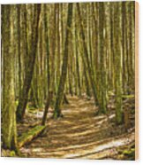 Buck Lake Trail Wood Print