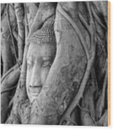Buddha Head In A Tree, Thailand Wood Print