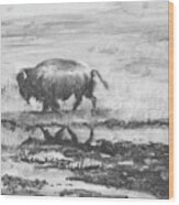 Buffalo Reflection Wood Print