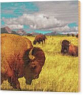 Buffalos On The Range Wood Print