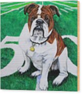 Bulldog At The Fifty Yard Line Wood Print