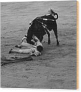 Bullfighting 34b Wood Print