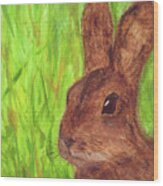 Bunny In Grass Wood Print