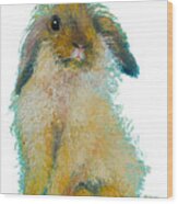 Bunny Rabbit Painting Wood Print