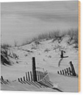 Buried Fences Black And White Coastal Landscape Photo Wood Print