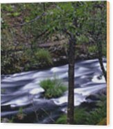 Burney Creek Wood Print