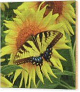 Butterflies And Sunflowers Wood Print