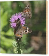 Butterflies And Purple Flower Wood Print