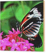 Butterfly 1 Wood Print