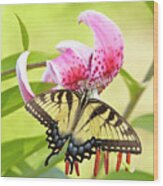 Butterfly And Lily Wood Print