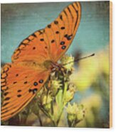 Butterfly Enjoying The Nectar Wood Print