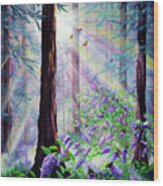 Butterfly Grove In Redwood Forest Wood Print