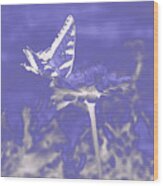 Butterfly In The Mist Wood Print