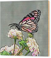 Butterfly Kisses Wood Print