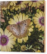 Butterfly On Blossoms Wood Print