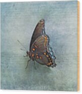 Butterfly On Blue Wood Print