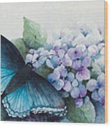 Butterfly On The Hydrangea Wood Print