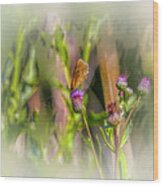 Butterfly On Thistle Bloom @h7 Wood Print