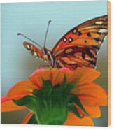 Butterfly View Wood Print