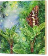 Butterfly Wonder Wood Print