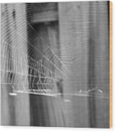 Bw Spiderweb Wood Print