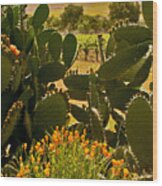 Cactus And Poppies Wood Print