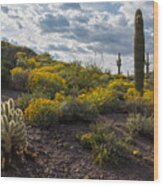 Cactus And Springtime Desert Wildflowers. Wood Print