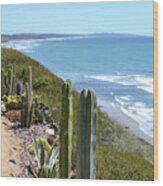 Cactus By The Seaside Wood Print