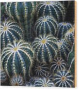 Cactus Wood Print