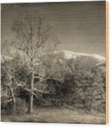 Cades Cove Wood Print