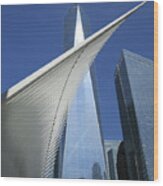 Calatrava New York 9 Wood Print