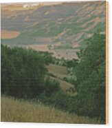 Calaveras Reservoir, Sunol Valley, Santa Clara County, California Abstract Wood Print