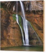 Calf Creek Falls Wood Print