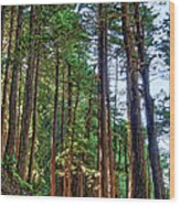 California Coast Redwood Trees Bixby Bridge Wood Print