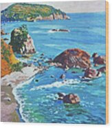 California Coastline Wood Print