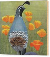 California Poppies And Quail Wood Print