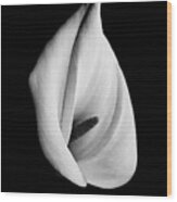 Calla Challenge In Black And White Wood Print