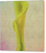 Calla Lilly Echo Flower Wood Print