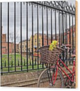 Cambridge In Spring With Bicycle Vertical Wood Print