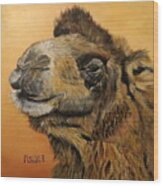Camel Wood Print