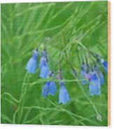 Can You Hear The Blue Bells Wood Print