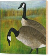 Canada Geese Grazing Wood Print