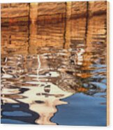 Canal House Reflection Wood Print