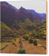 Canarian Agriculture Wood Print