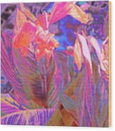 Canna Abstract 9 Wood Print